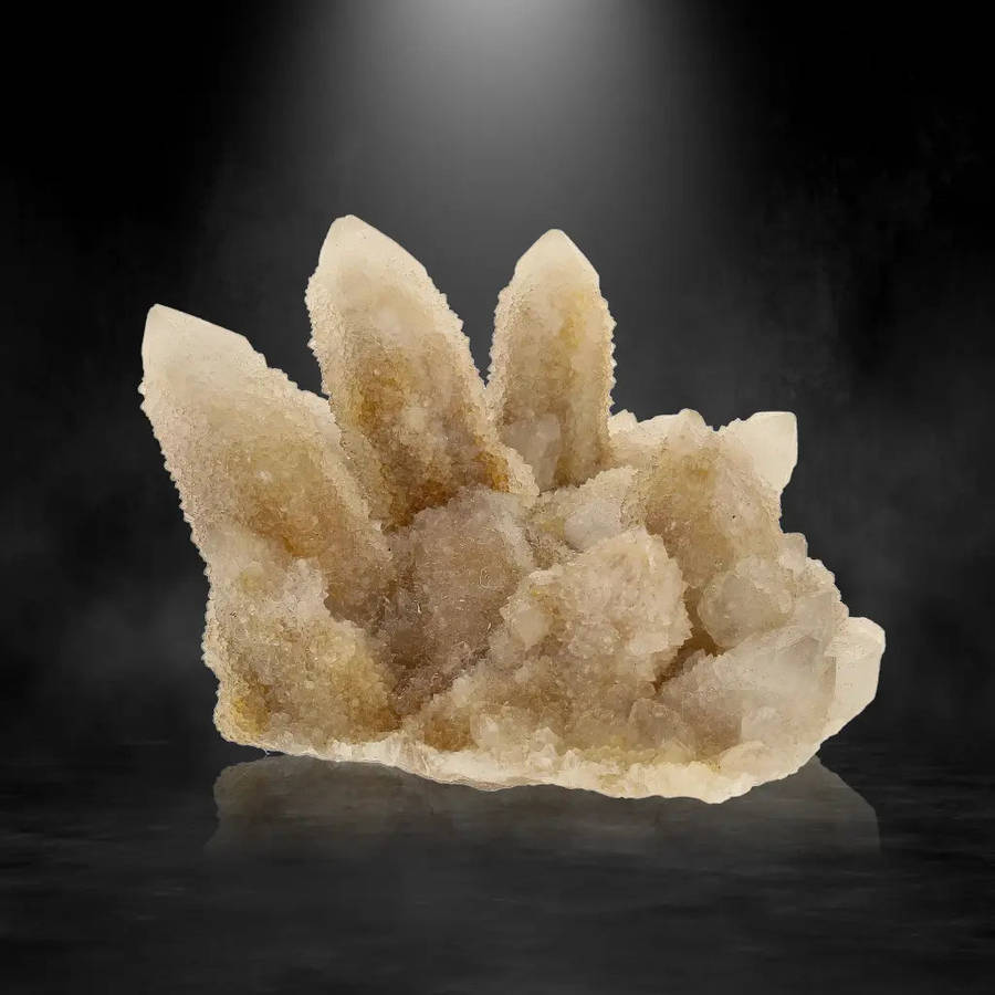 Cactus Quartz from Boekenhoutshoek: Unique Colorless Amethyst Gem