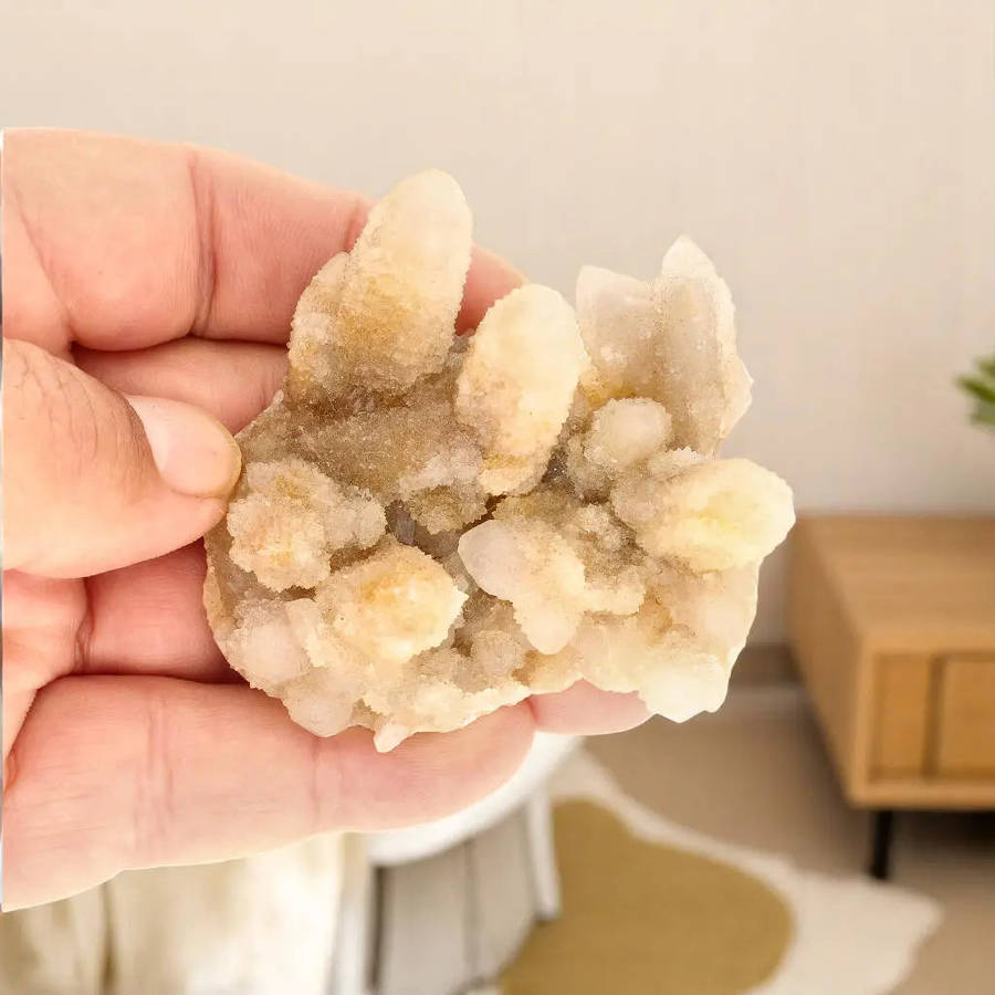 Cactus Quartz from Boekenhoutshoek: Unique Colorless Amethyst Gem