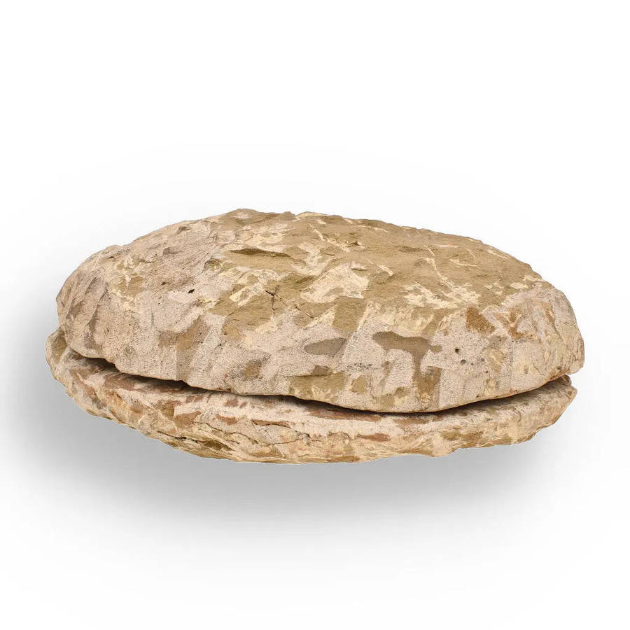 Cambropallas Trilobite with Perfect Positive-Negative Split  509 MYA