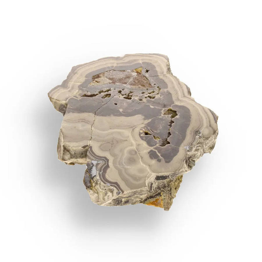 Striking Olkusz Mine Schalenblende: Polished Slice with Distinctive Banding and Galena Inclusions