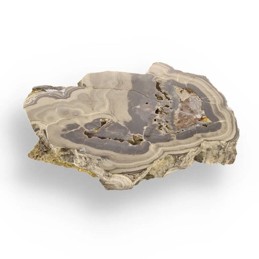 Striking Olkusz Mine Schalenblende: Polished Slice with Distinctive Banding and Galena Inclusions