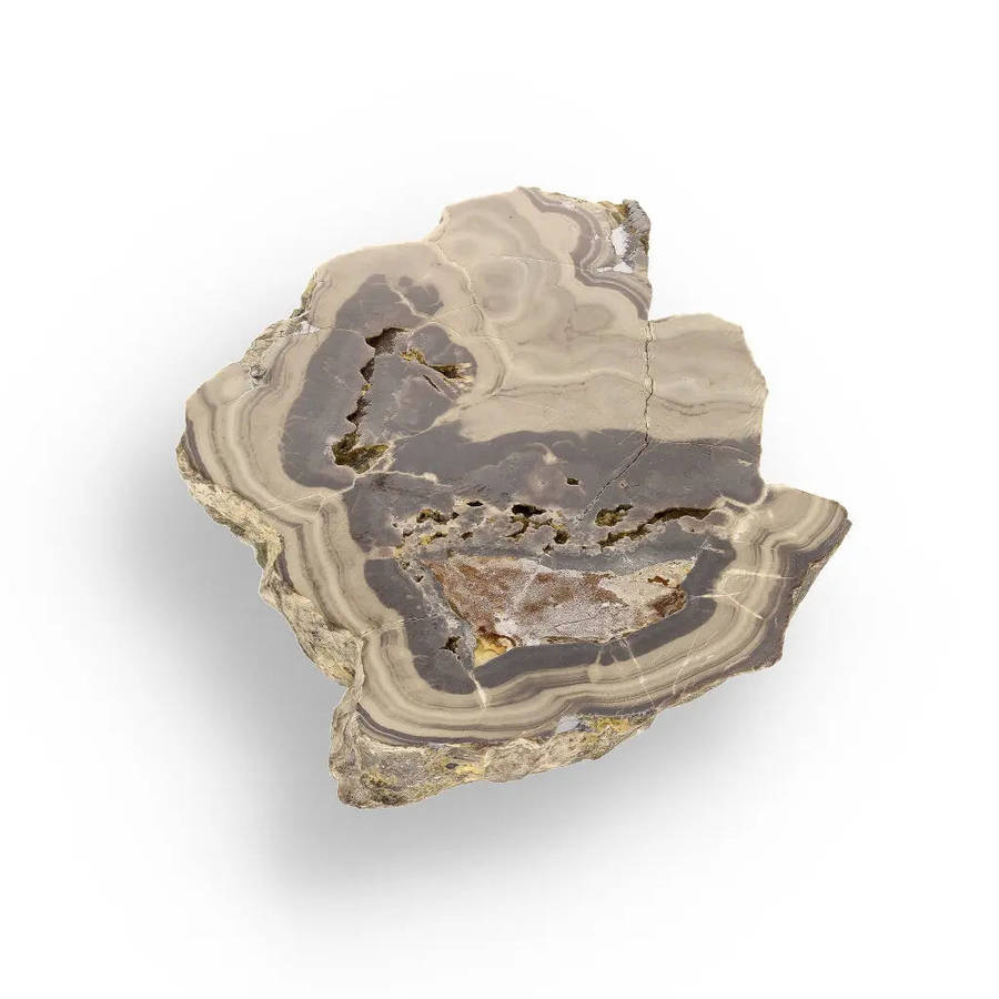 Striking Olkusz Mine Schalenblende: Polished Slice with Distinctive Banding and Galena Inclusions