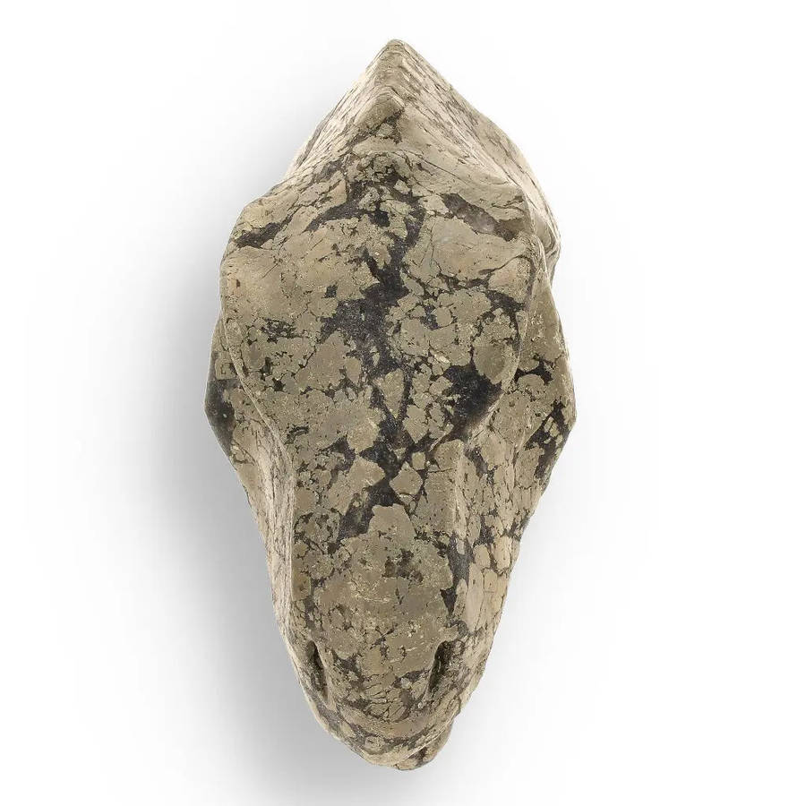 T-Rex Jurassic Spark: Pyrite Carving