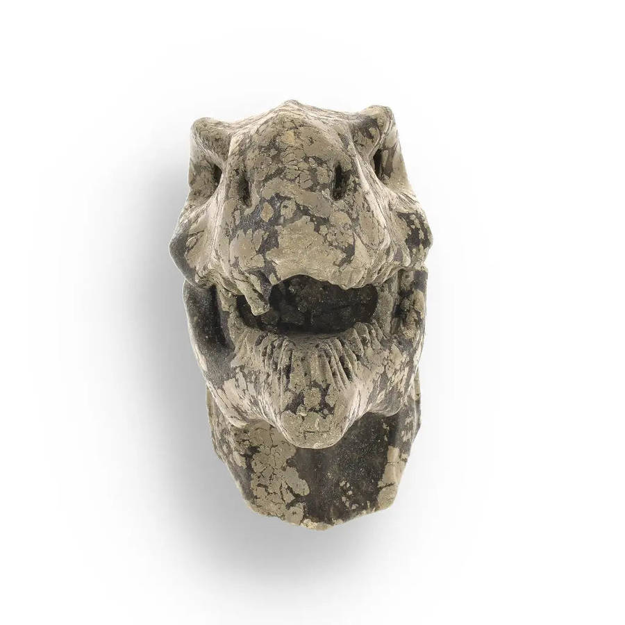 T-Rex Jurassic Spark: Pyrite Carving