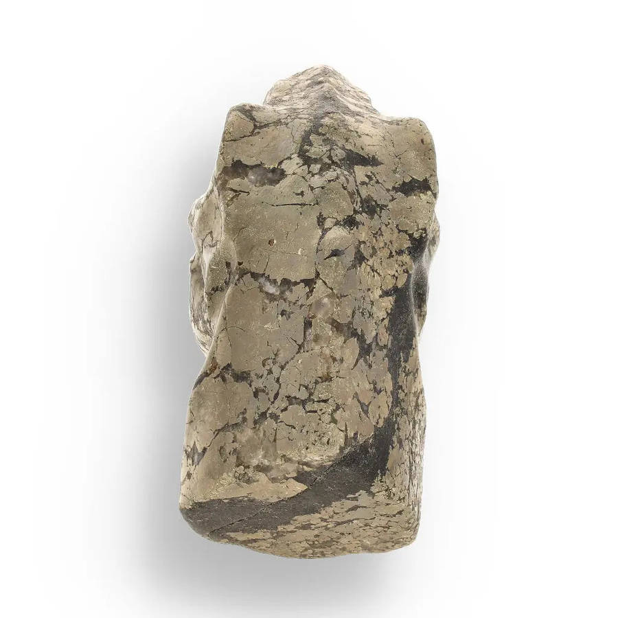 T-Rex Jurassic Spark: Pyrite Carving