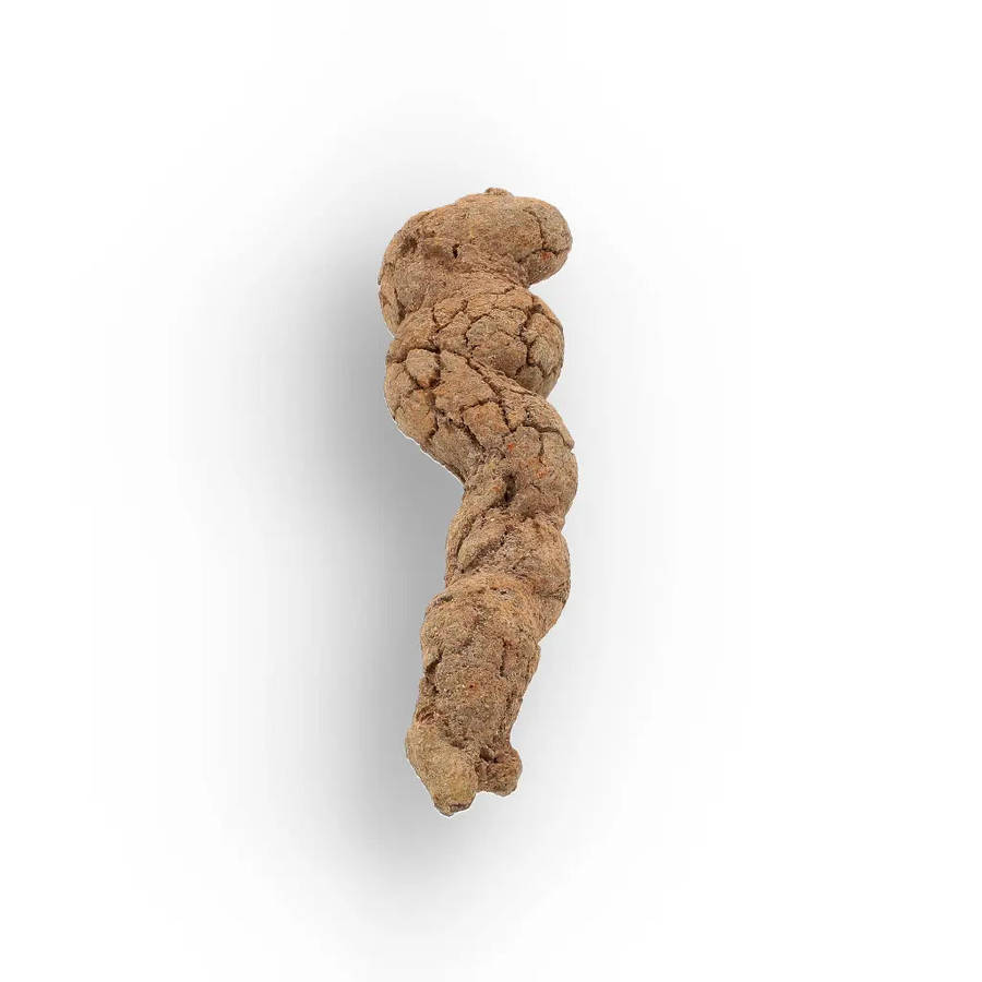 Mahajanga Madagascar Coprolite  Authentic Dinosaur Era Fossil