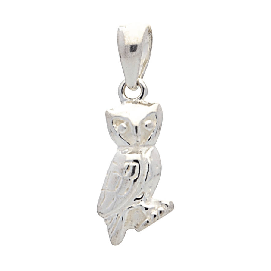 Whimsical Wisdom: Sterling Silver Owl Necklace