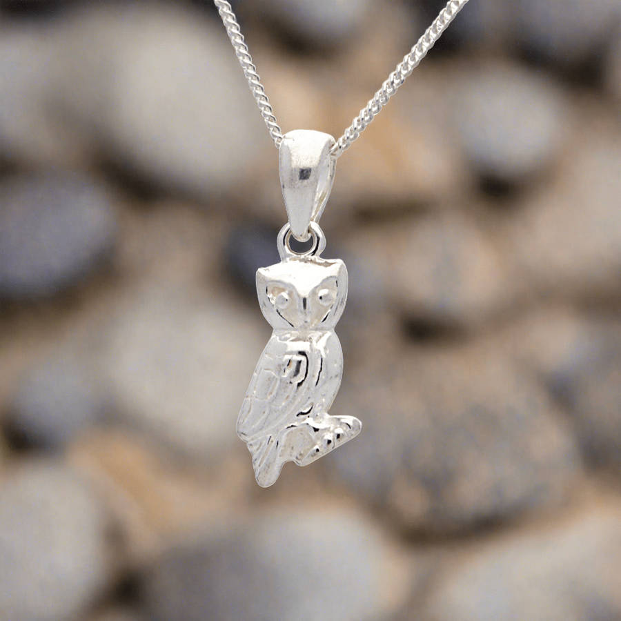 Whimsical Wisdom: Sterling Silver Owl Necklace