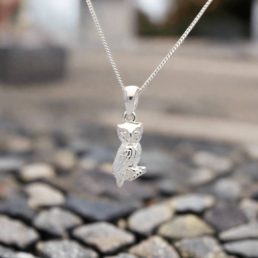 Whimsical Wisdom: Sterling Silver Owl Necklace