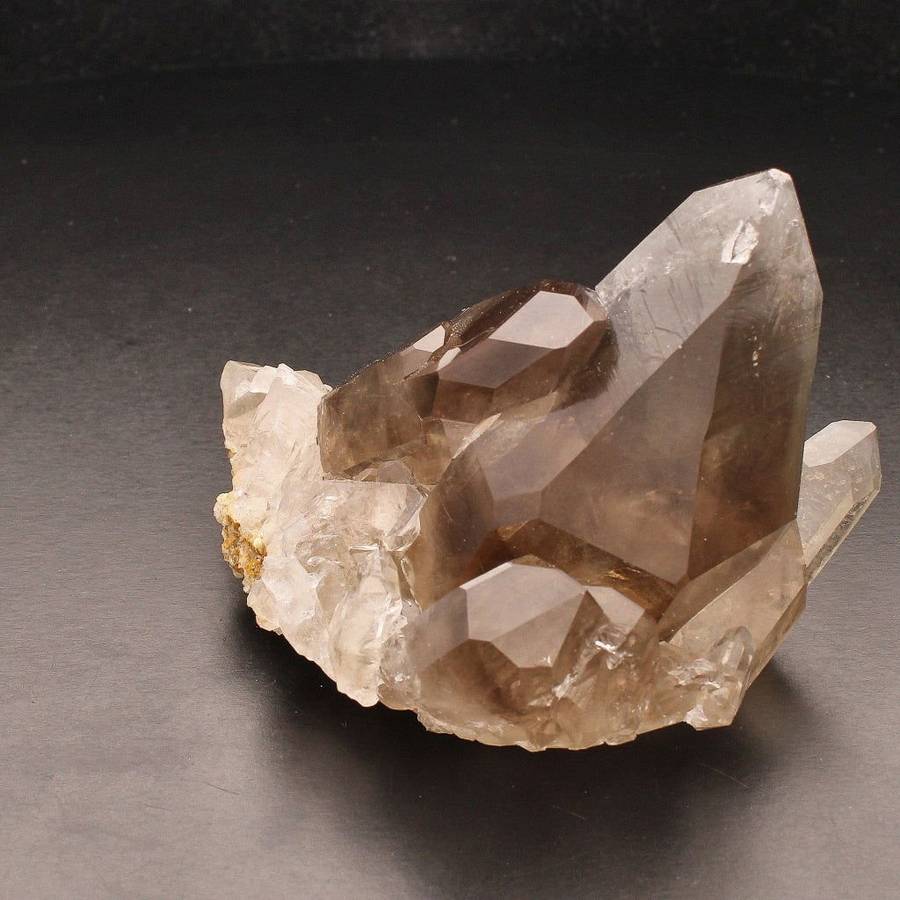 Smoky Quartz Cluster (Steinkopf) - Grounding Energy