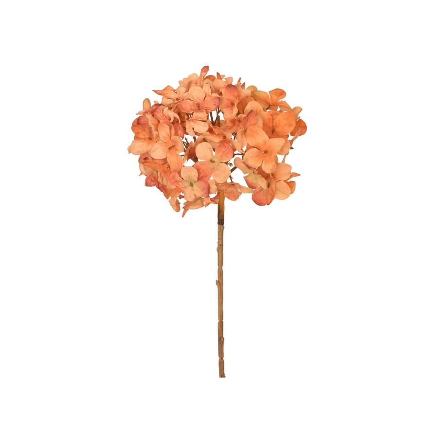 Light Orange Dried Hydrangea Stem
