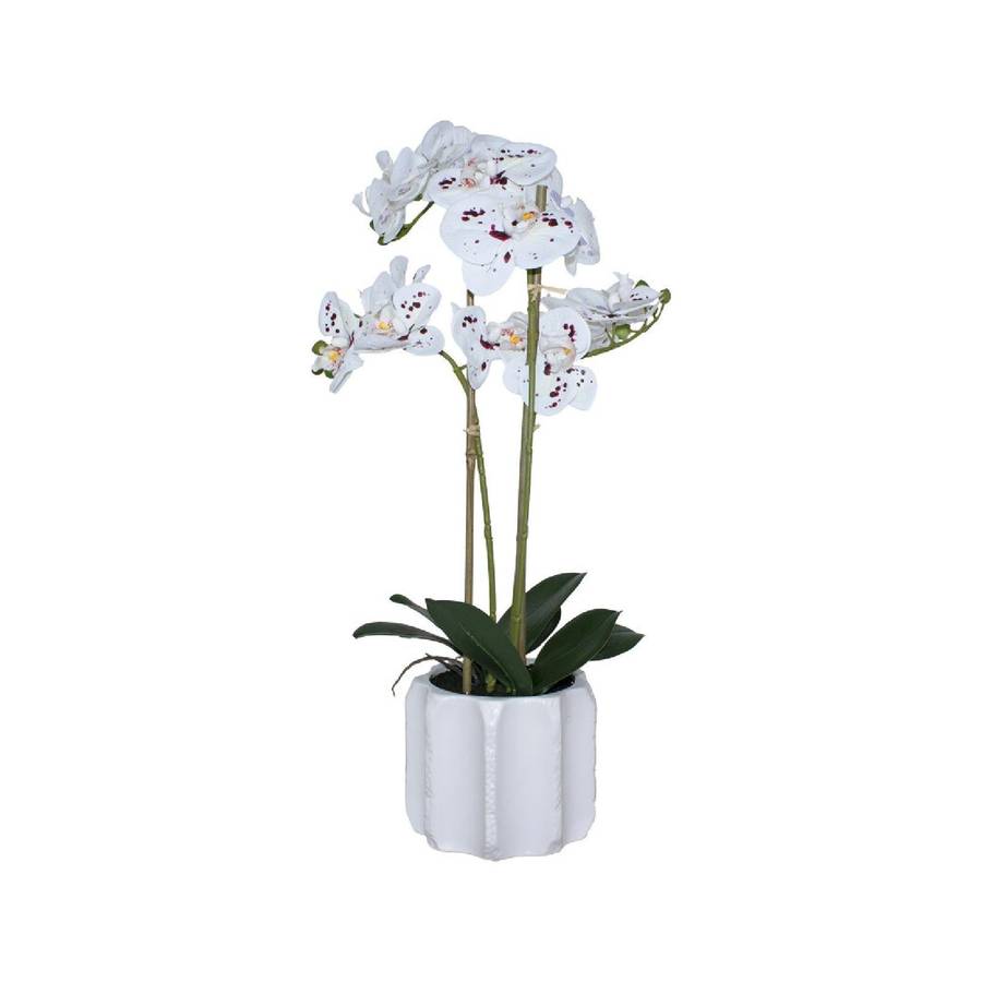 Real Touch Speckled Orchid