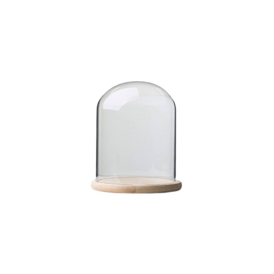 Glass Dome with Pine Base - 12x15cm