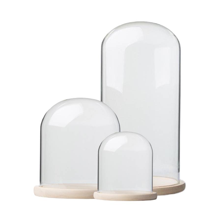 Glass Dome with Pine Base