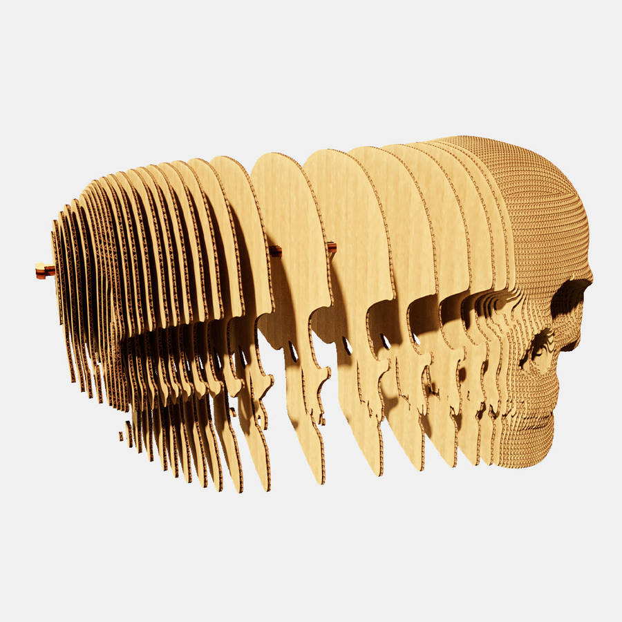 Cartonic 3D Skull