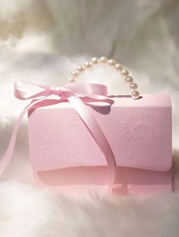 Handbag Box with Pearl handle (2)