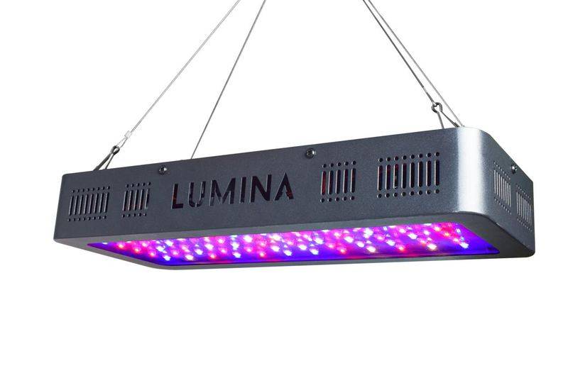 Lumina 600W Double Switch Plant LED Grow Light