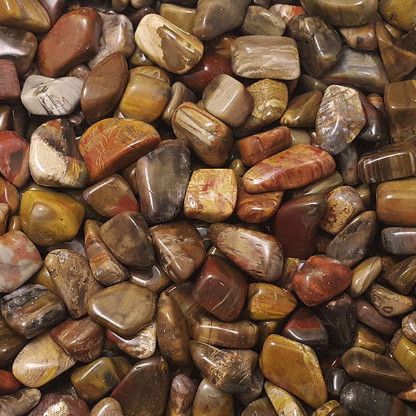 Petrified Wood - Arizona USA - Tumbled Stone