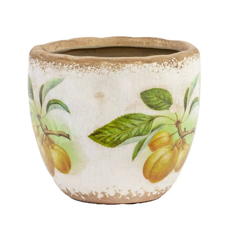 Ceramic Planter - Harvest Classic 11.5cm