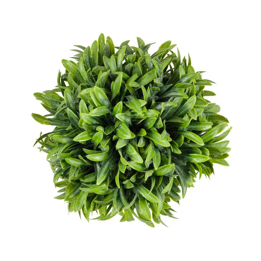 Herb Ball - Thin Long Leaves 16cm