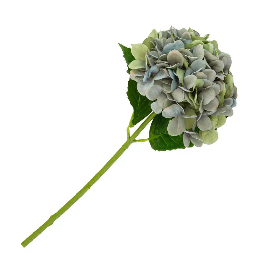 Hydrangea - Blue & Greens