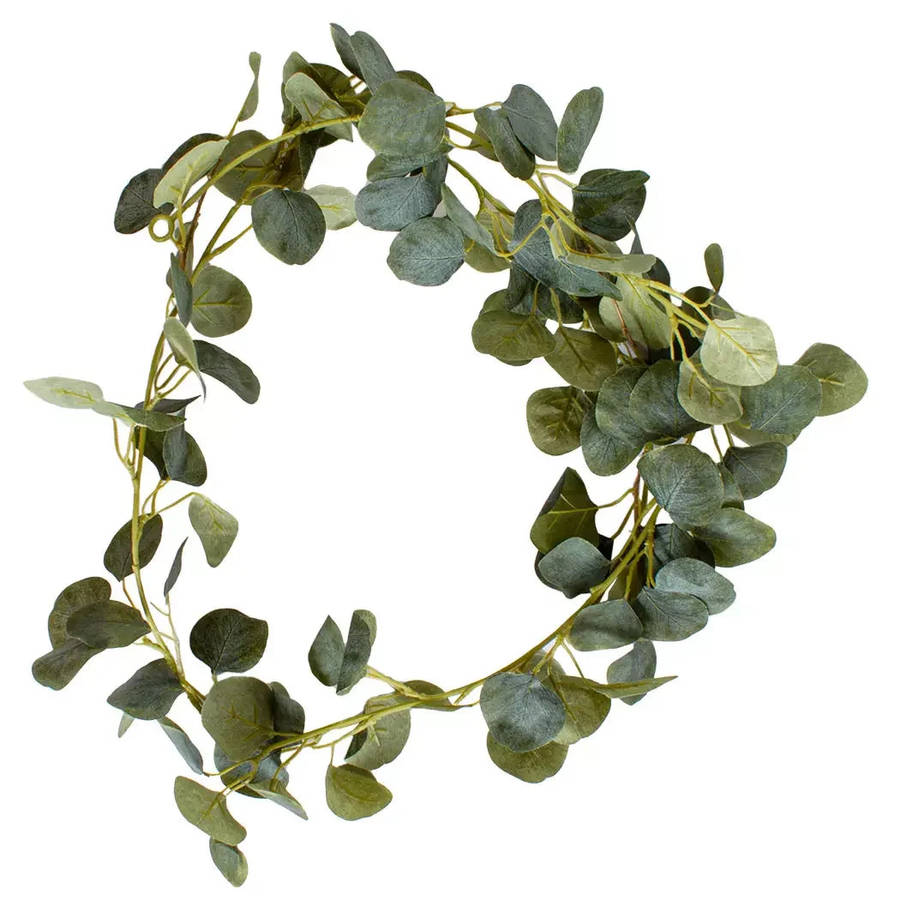Spray - Eucalyptus Young Leaves 183cm