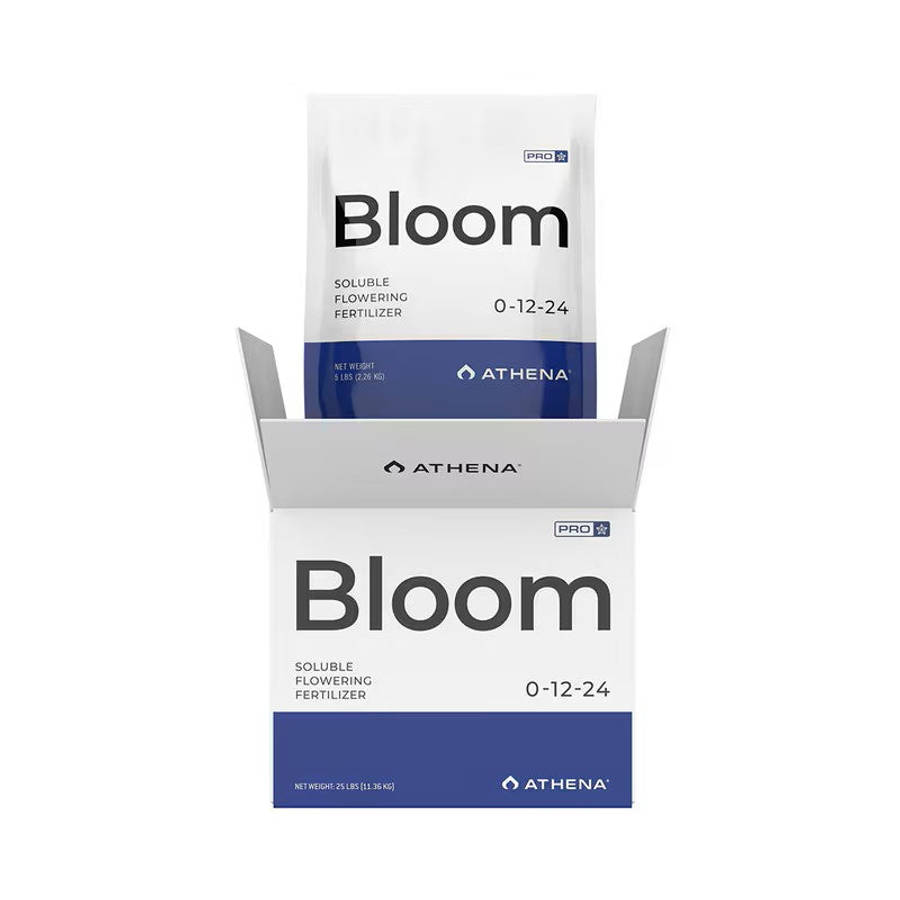 Athena Pro  Bloom