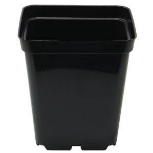 Square Pot 10cm - 0.7L