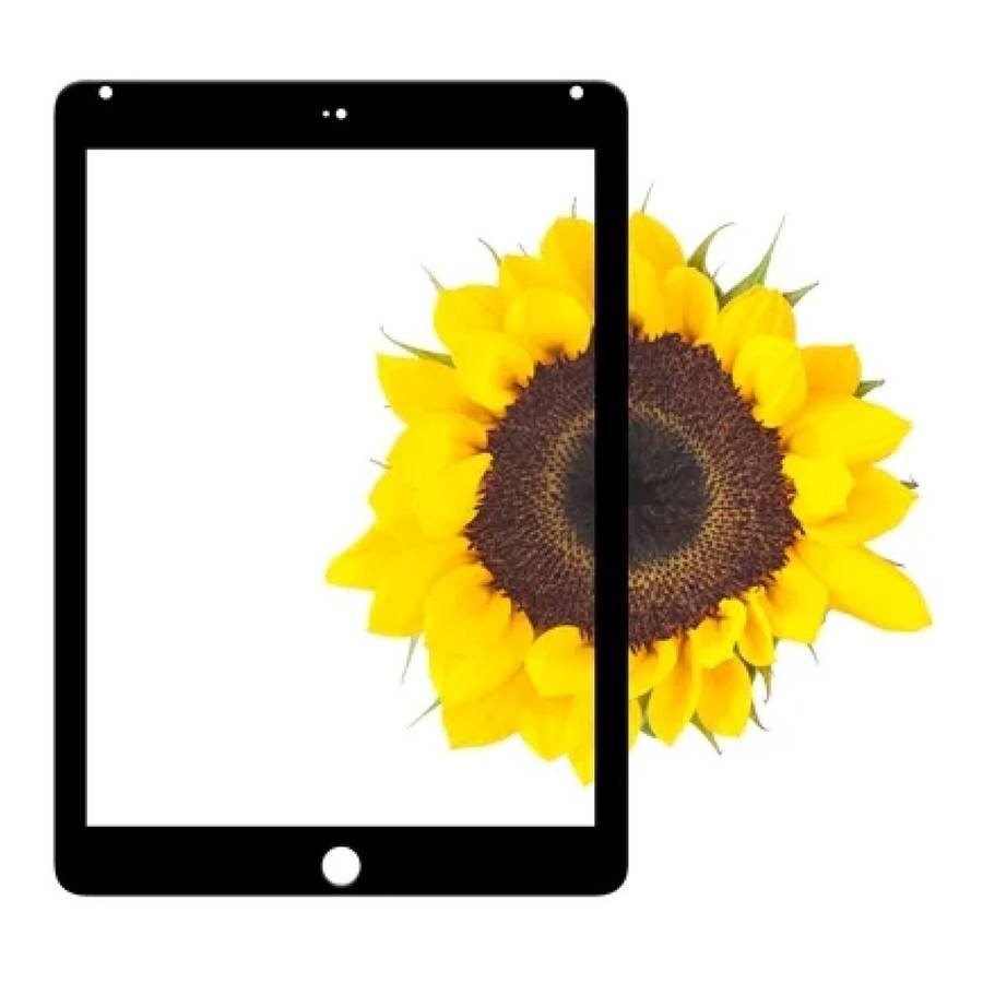 Moshi iVisor Glass Screen Protector for iPad Air 2 99MO075000