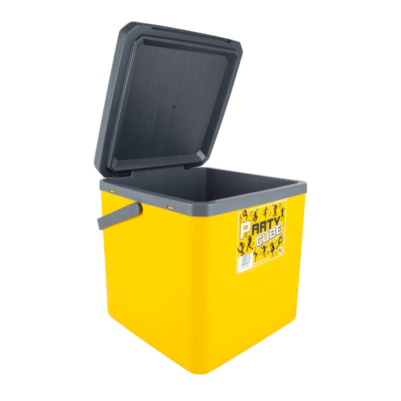 Party Cube 25L Cooler Box