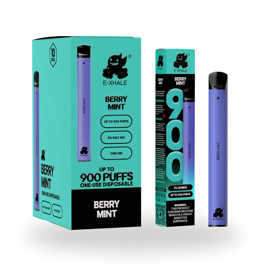 900 Berry Mint Disposable Vape 10-Pack - 5% Nicotine