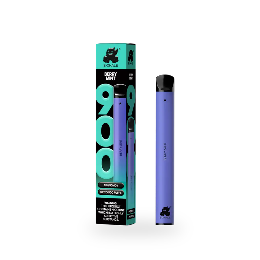 900 Berry Mint Disposable Vape 10-Pack - 5% Nicotine