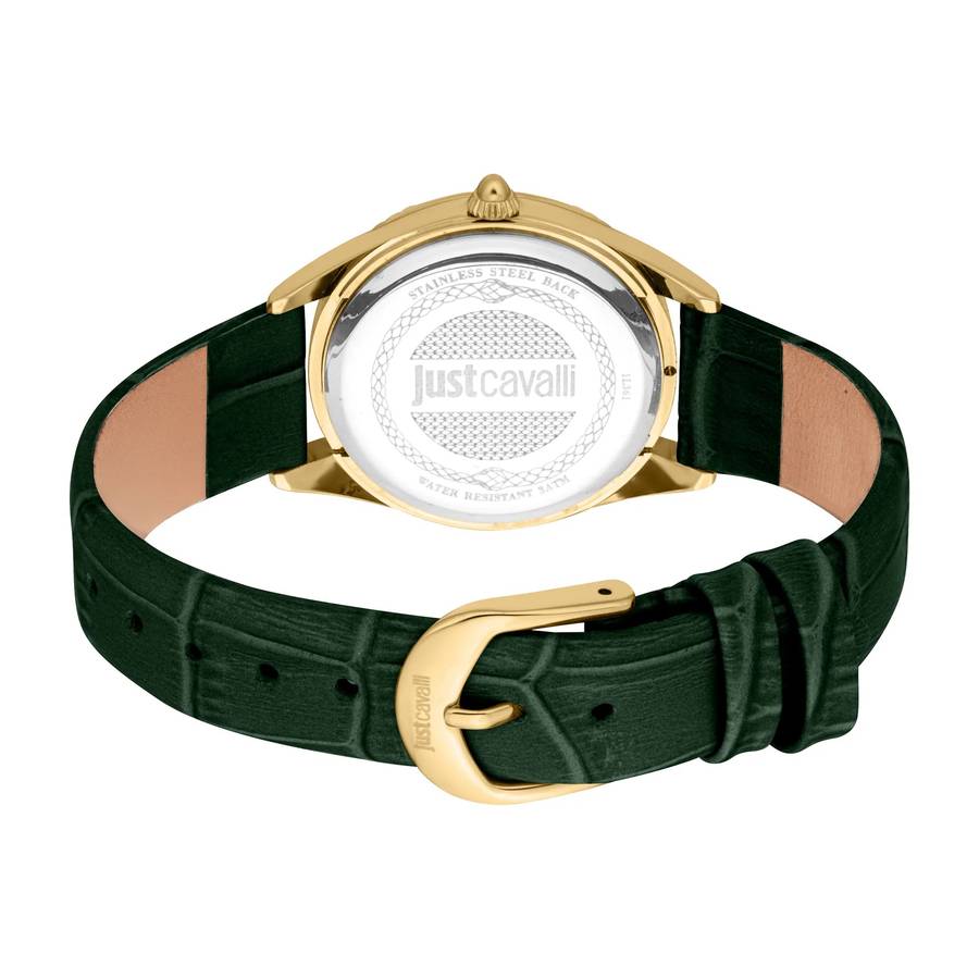 Just Cavalli SET Vittoria Glam Leather Green YG