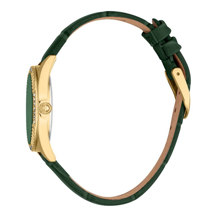 Just Cavalli SET Vittoria Glam Leather Green YG