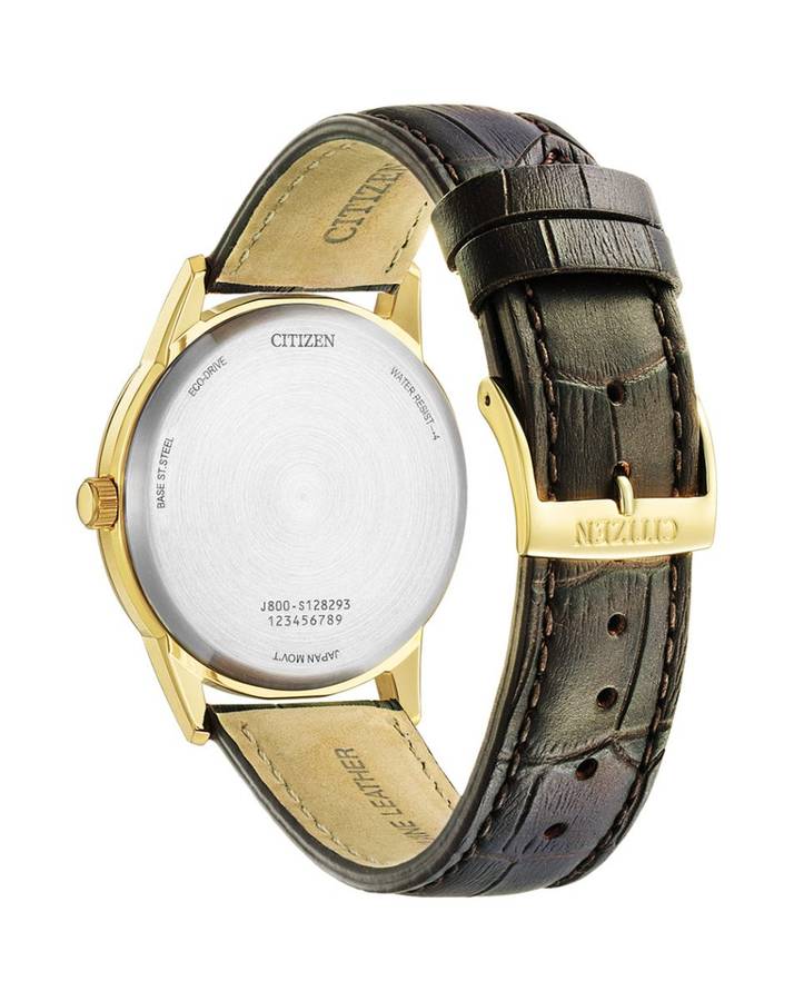 Citizen Eco-drive Sport Men's Dress Watch | AW0102-13A