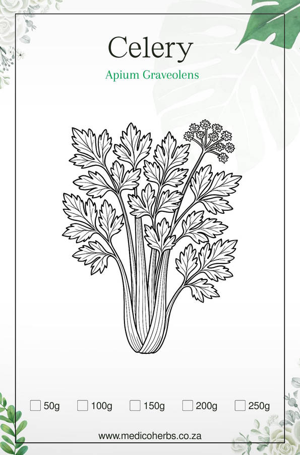 Celery Seeds 100g