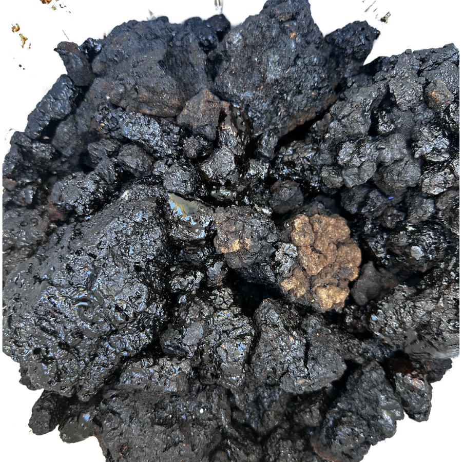 Hyraceum Dassiepis 100g