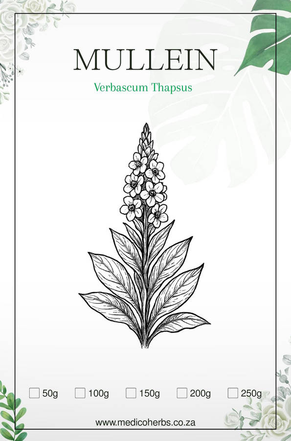 Mullein Powder 50g