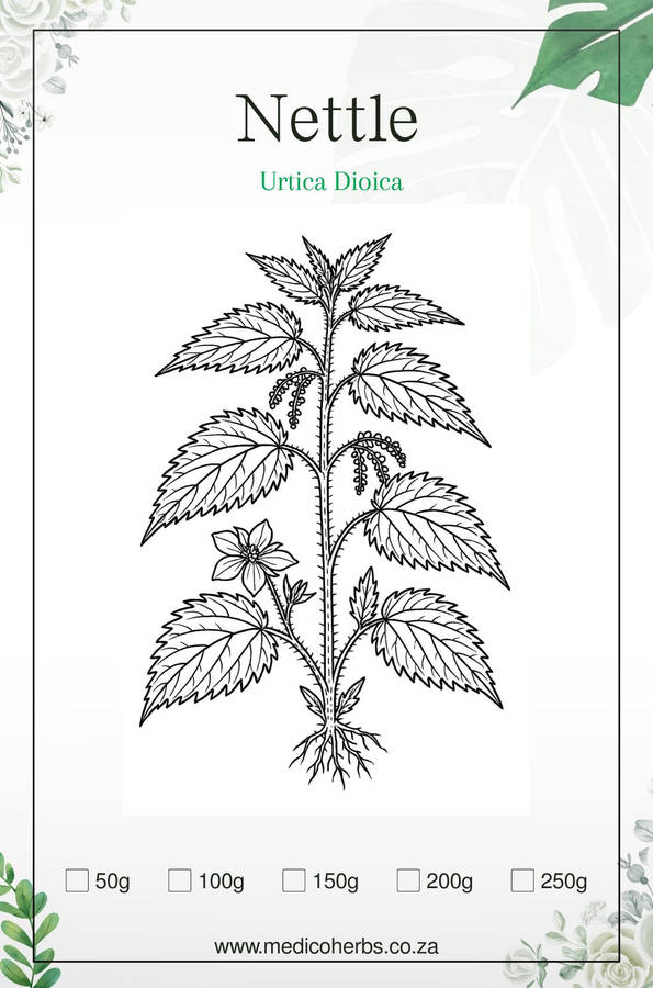 Nettle Tea 50g