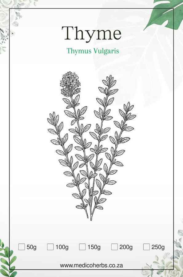Thyme Herb 100g