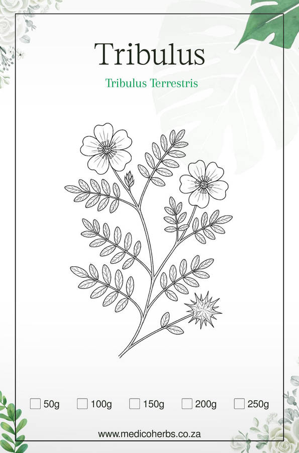 Tribulus Powder 50g