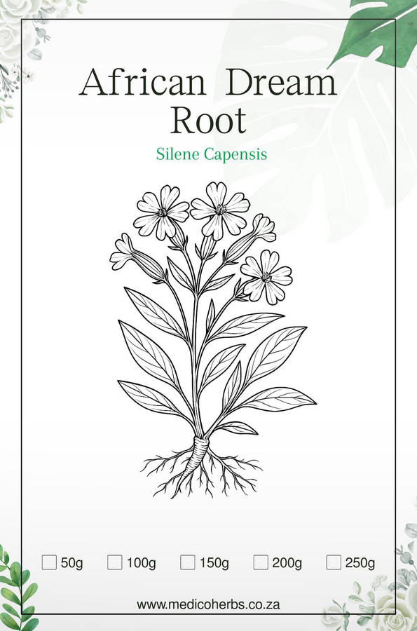 Ubulawu Root 200g