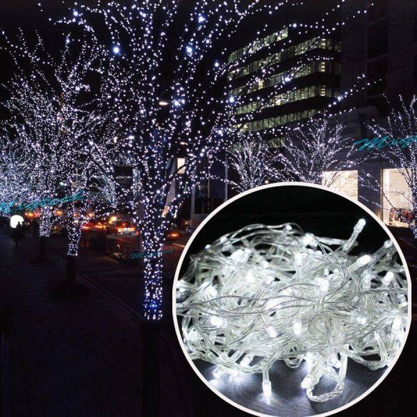 20 LED Fairy Lights white