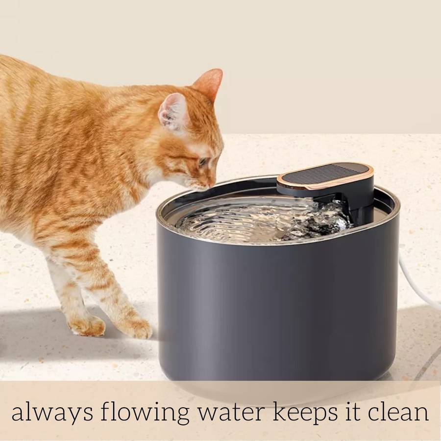 Automatic Pet Water Feeder for Dogs and Cats. 3L Capacity with Water Filter | Runs Silently and Kill