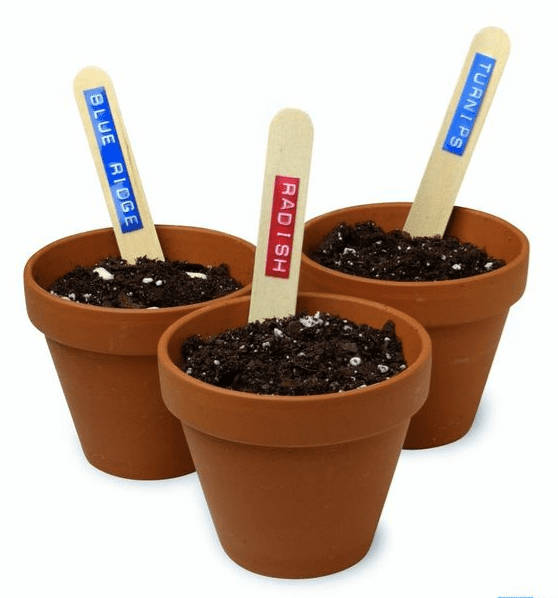 Label Maker Tape - Pack 1