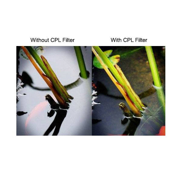 Gloxy 62mm Ultra Thin Professional Multicoated HD Circular Polarizer (CPL) Filter - DI3984