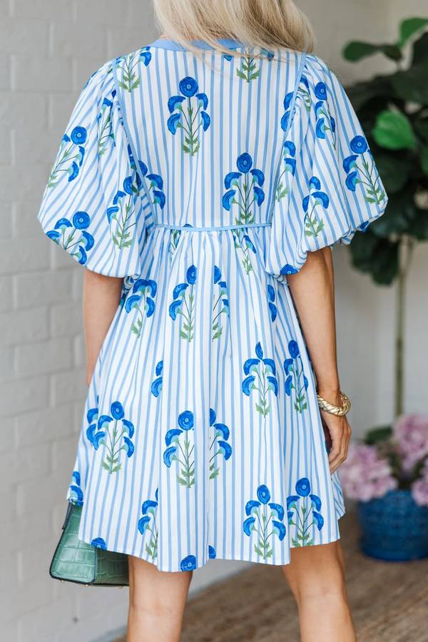 Sky Blue Floral Striped Print Tie Notched Neck Puff Sleeve Flared Mini Dress