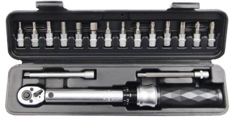 17Pc 1/4 Drive Industrial Mini Torque Wrench Set 5-25Nm AMPRO T39979