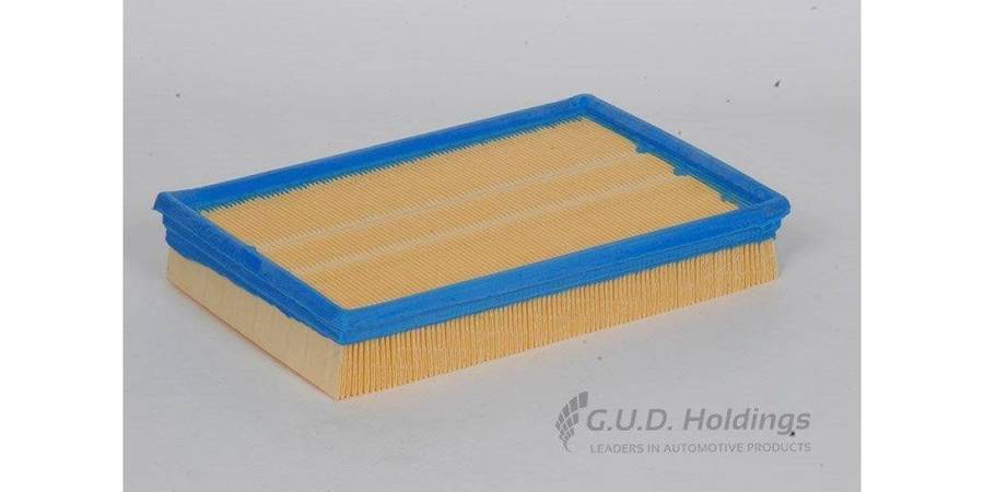 AG879 Air Filter Vw Polo/Citi Golf (GUD)