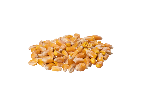 Maize Mixed 1kg Lunker